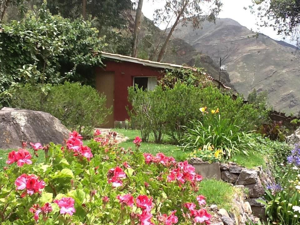 La Casa Del Conde Bed and Breakfast Pisac Eksteriør billede